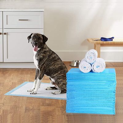 Van de huisdierenhond Gezonde Schone Natte Mat Disposable Dog Diaper Training Stootkussen van de Luiers het Super Absorberende Cat Training Urine Pee Pads