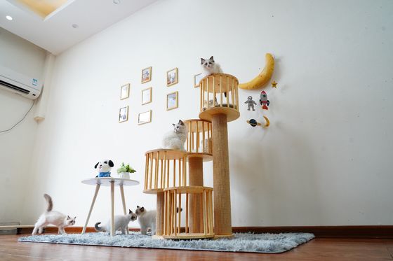 Duurzaam Huis Kitten Cat Climbing Tree Tower Condo met het Krassen van Posten
