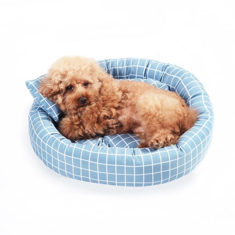 In het groot Rond Zacht Warm Huisdierenbed met van de Kattenhonden van Cuddler van de Hoofdkussendoughnut van het het Bedhuisdier het bedluxe met niet misstapbodem