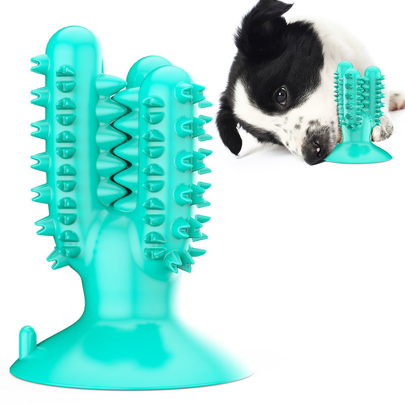 De Hond van de het Siliconetpr Cactus van de hondtandenborstel kauwt Speelgoed voor Tanden