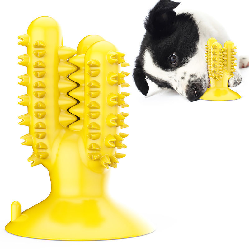 De Hond van de het Siliconetpr Cactus van de hondtandenborstel kauwt Speelgoed voor Tanden