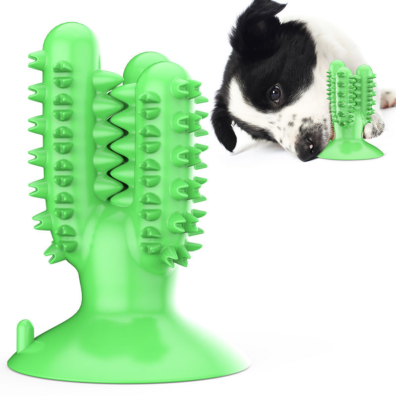 De Hond van de het Siliconetpr Cactus van de hondtandenborstel kauwt Speelgoed voor Tanden