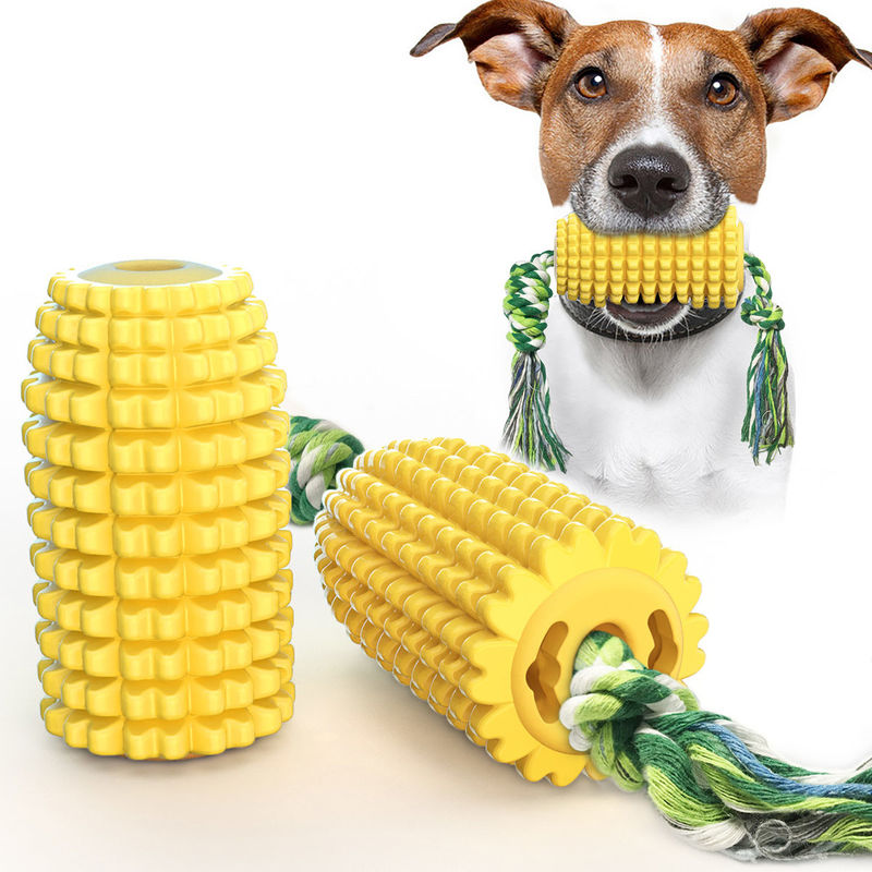 Hond van het de Hulpmiddelennatuurrubber van het beet kauwt de Bestand Huisdier Verzorgende de Vormkies van het Stokgraan