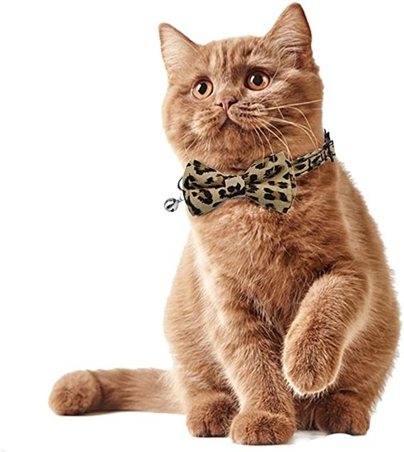 De afgescheiden Vlinderdas van Gespcat collar bells with cute voor Kitty Small Dogs Adjustable