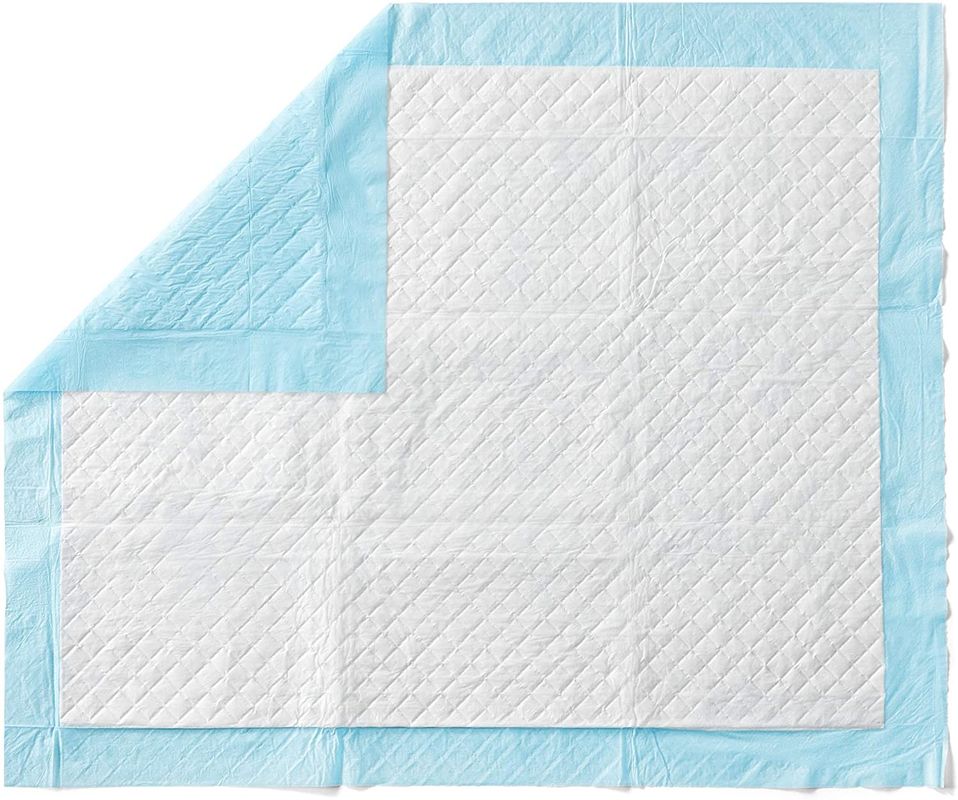 Van de huisdierenhond Gezonde Schone Natte Mat Disposable Dog Diaper Training Stootkussen van de Luiers het Super Absorberende Cat Training Urine Pee Pads