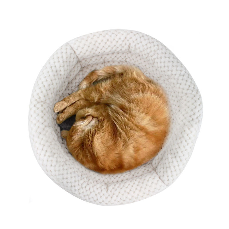 2021 het In het groot van de de Vormkat en Hond van de Knuffelkop Bed van Bedhuisdieren met Hoge muren voor het Diepe Huis van het Slaap Wasbare Huisdier