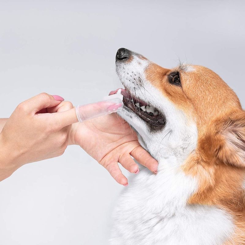 Tanden die van het de Hond de Schoonmakende Hulpmiddel van het varkenshaarsilicone Tandenborstel van het de Vingerhuisdier van de Hond de Mondelinge Zorg schoonmaken