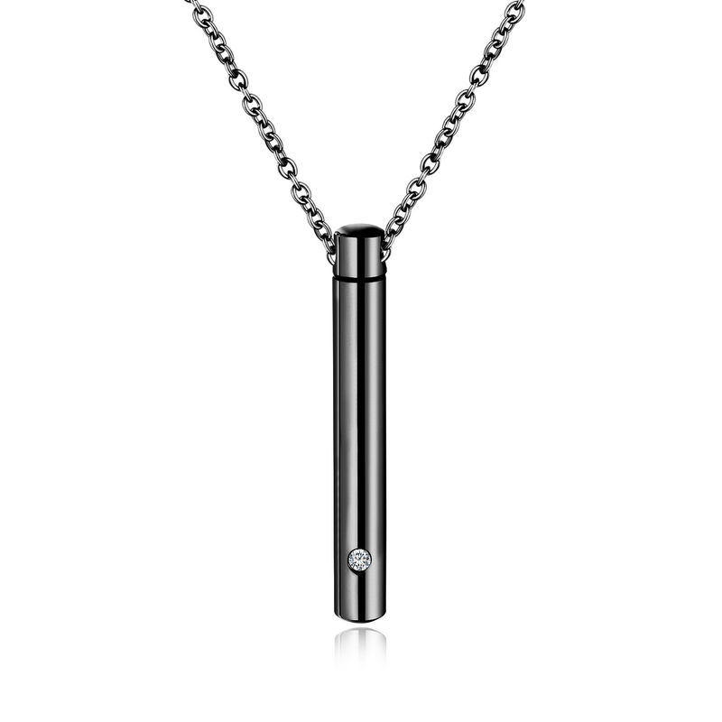 Van de de Pillenherinnering van de huisdierenas de Tegenhangerhuisdier het Verzorgen van de de Crematieurn van het Hulpmiddelenroestvrije staal Halsband 50cm
