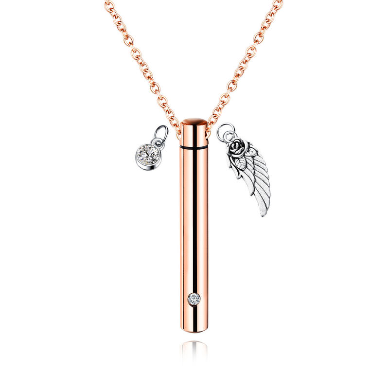 Van de de Pillenherinnering van de huisdierenas de Tegenhangerhuisdier het Verzorgen van de de Crematieurn van het Hulpmiddelenroestvrije staal Halsband 50cm