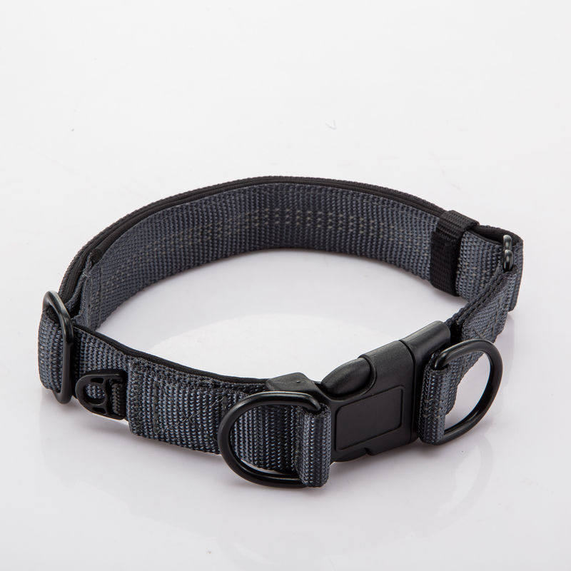 Regelbare Dubbele D ontzet Halsband en Leiband het Vastgestelde Nylon Weerspiegelende Lood van de Kettingshond