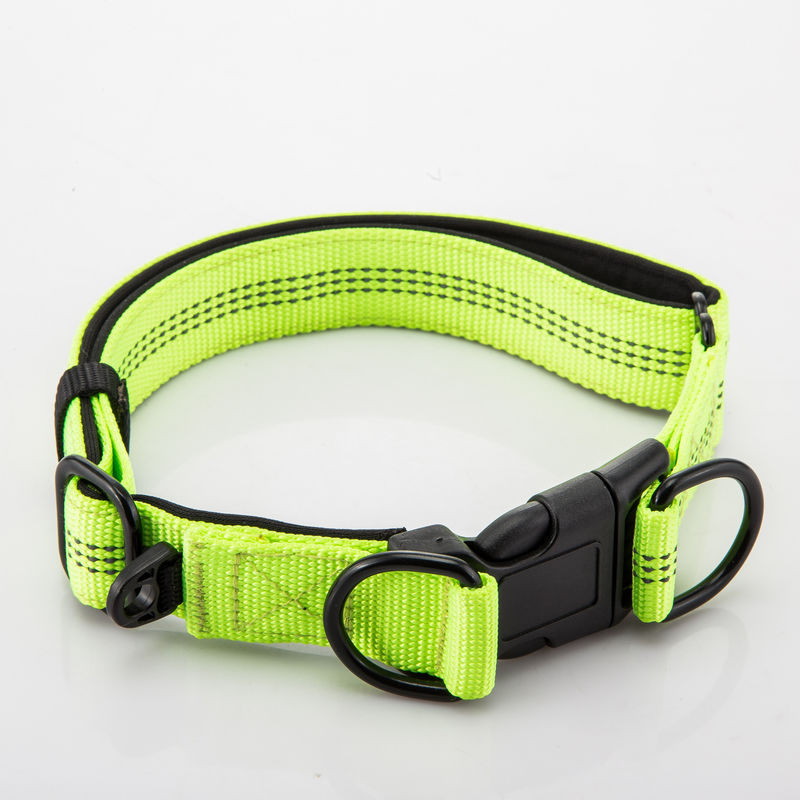 Regelbare Dubbele D ontzet Halsband en Leiband het Vastgestelde Nylon Weerspiegelende Lood van de Kettingshond
