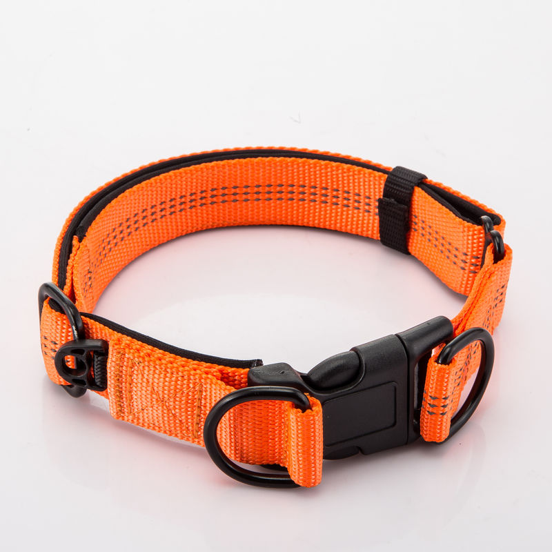 Regelbare Dubbele D ontzet Halsband en Leiband het Vastgestelde Nylon Weerspiegelende Lood van de Kettingshond