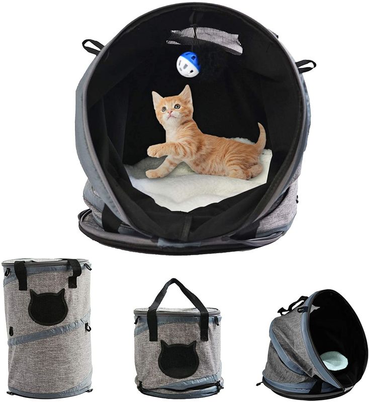 3 in 1 Cat Bag Carrier Backpack met Vachtmat