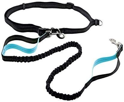 De intrekbare van de de Uitrustingstaille van de Kabel Weerspiegelende Hond van het de Riem Dubbele Handvat Leiband van de de Handen Vrije Hond van Bungees Elastische