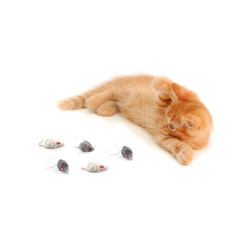 De Unieke Gift Bicolourable Mini Mouse Cat Toy Set van Halloween met Geluid