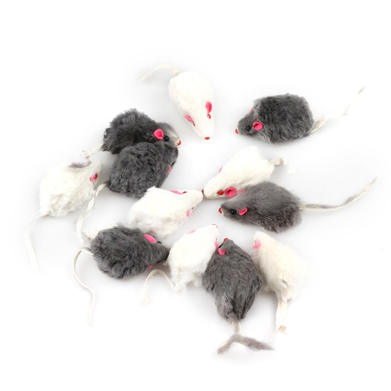 De Unieke Gift Bicolourable Mini Mouse Cat Toy Set van Halloween met Geluid