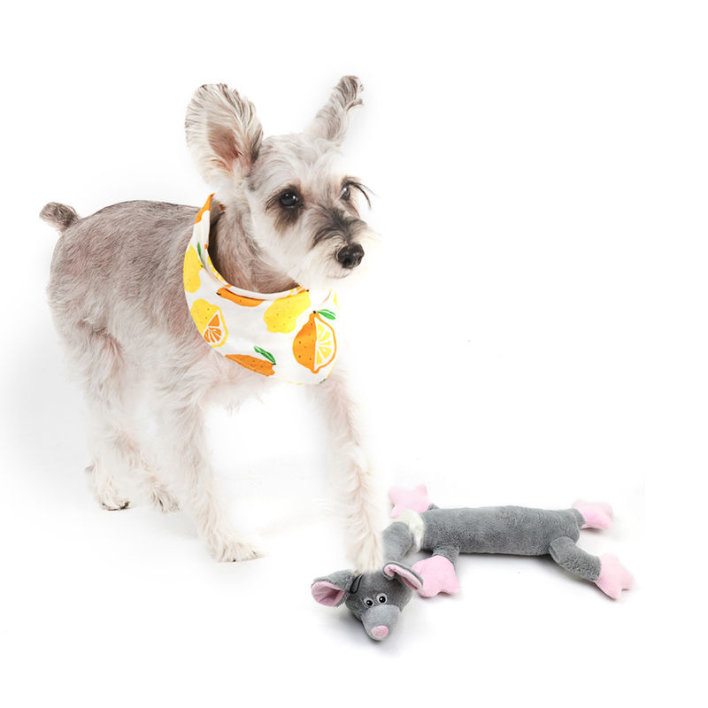 Van de Pluche Grappige Katten van de beet de Bestand Dierlijke Vorm Honden Toy Squeaky Durable Chew Toys