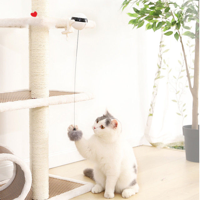 Interactieve Elektronische Autoliftbal Cat Pet Toys Funny Stick Cat Teaser Toy