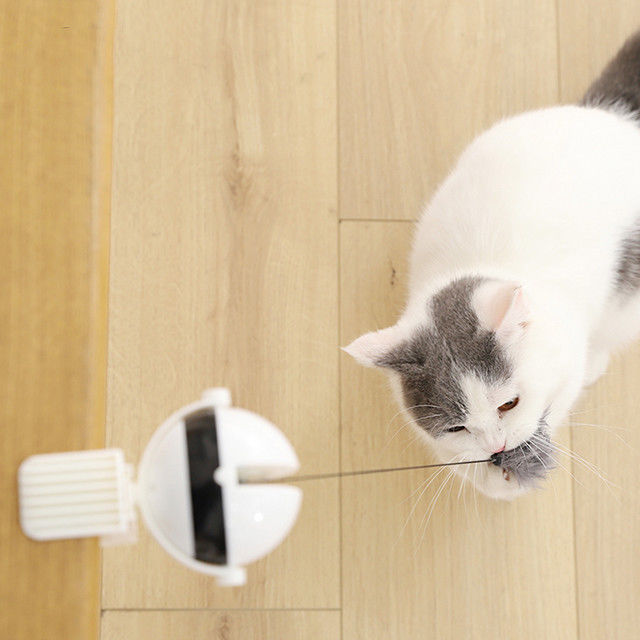 Interactieve Elektronische Autoliftbal Cat Pet Toys Funny Stick Cat Teaser Toy