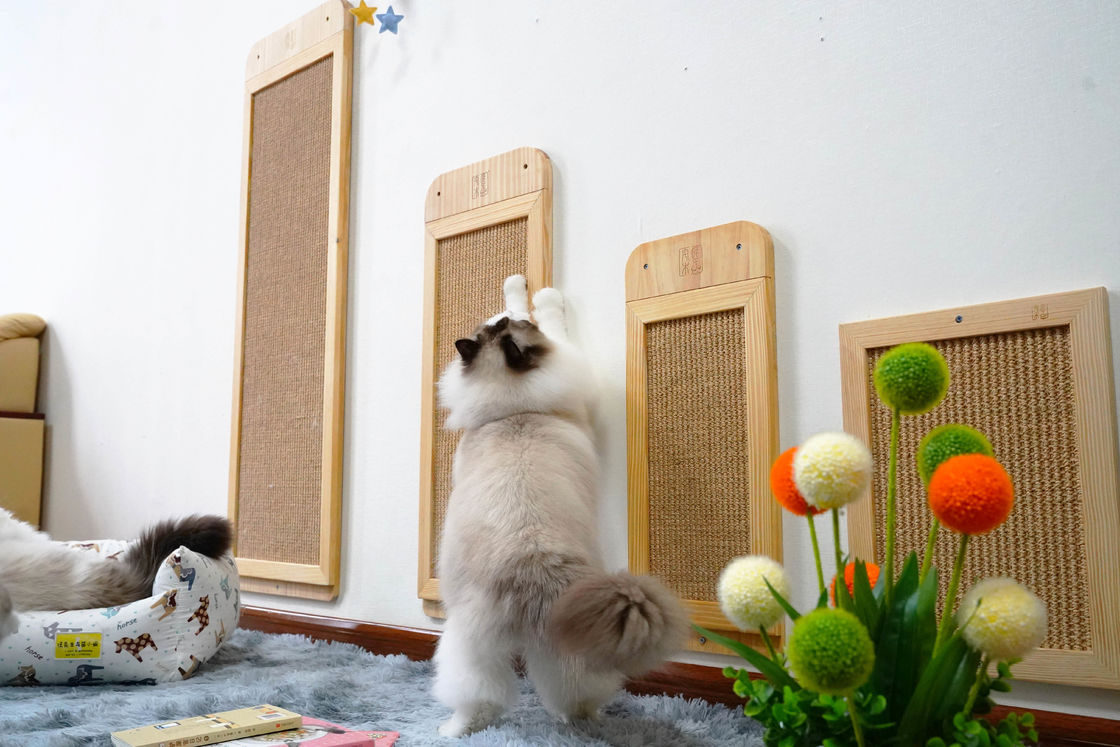 Duurzame Sisal Muur Opgezette Cat Scratcher Post Place Floor 40*30cm 30*76cm 40*120cm