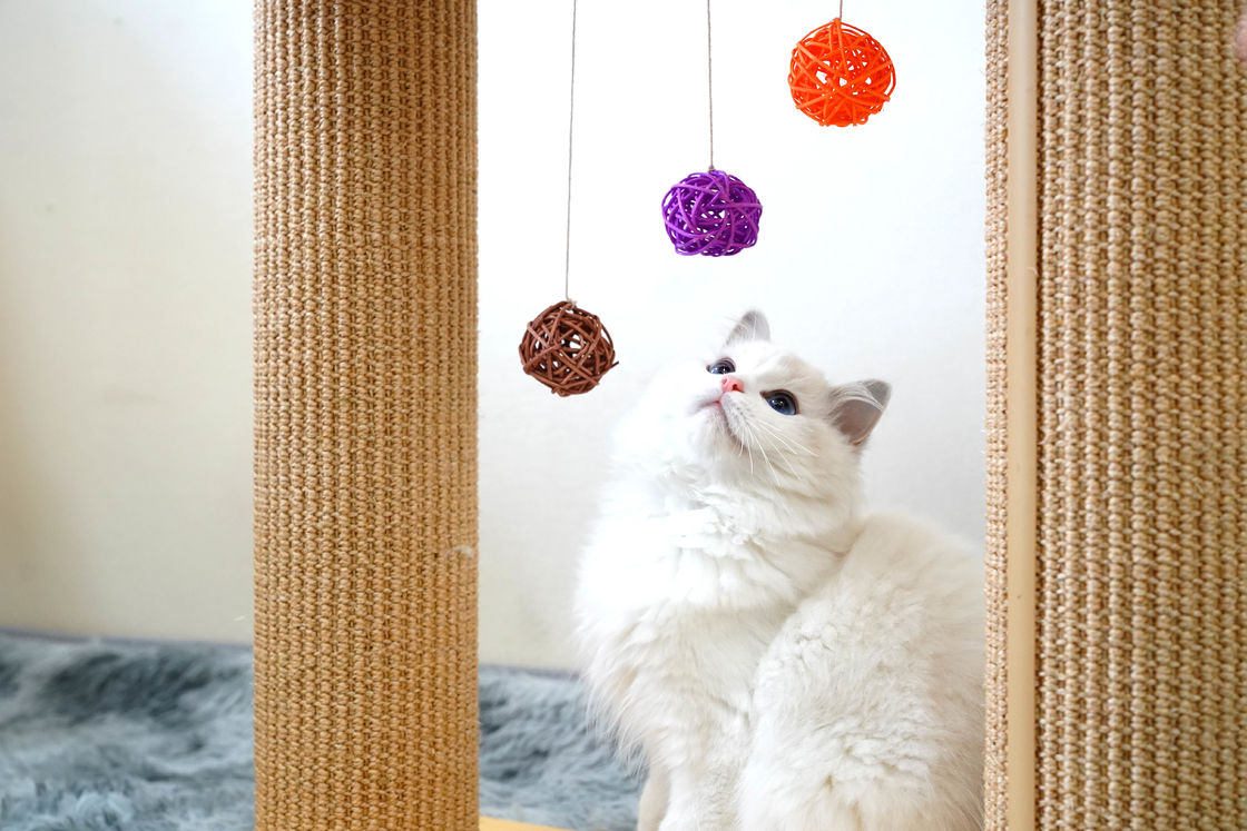 Dubbele Laag Stevige Cat Scratch Board Tree 60*30*63cm