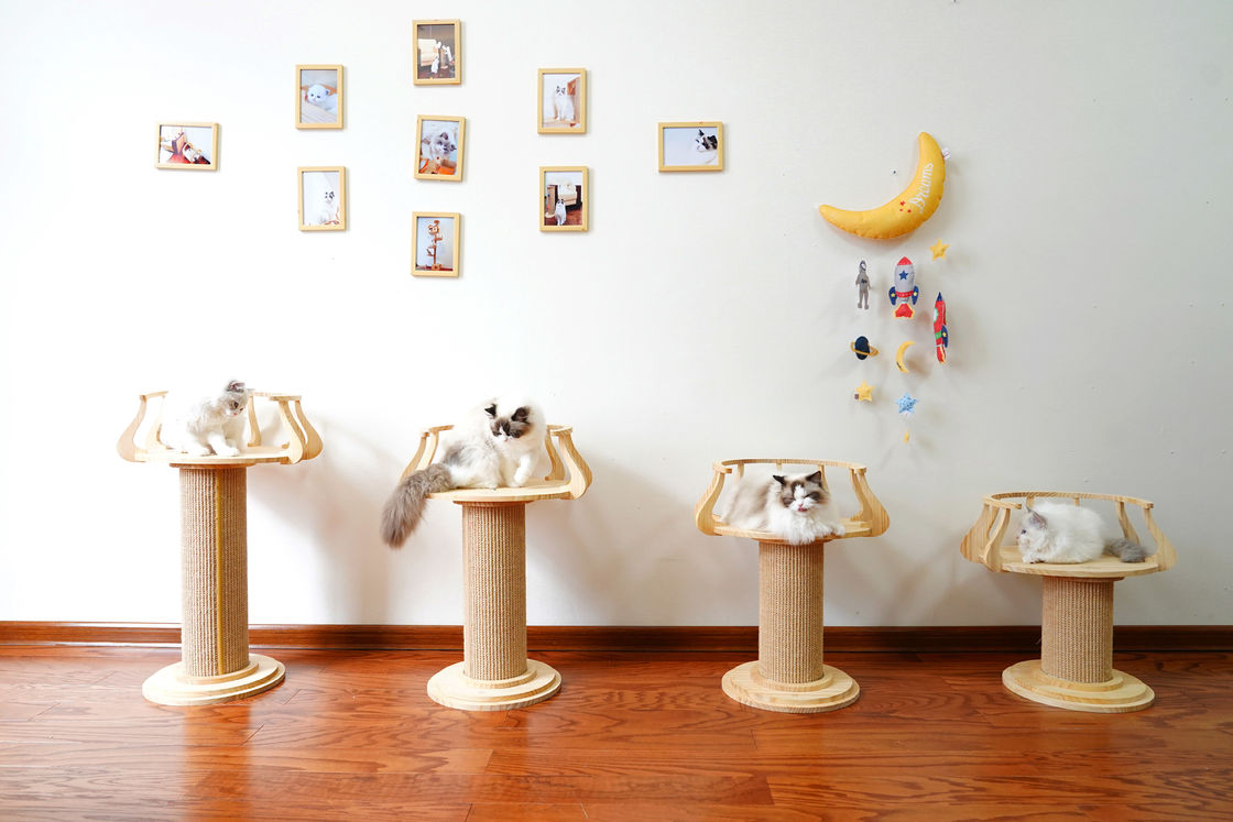 Eco Vriendschappelijke Houten het Krassen Cat Climbing Tree Tower Cat Grootte 72cm M 62cm van de Fotolijst L