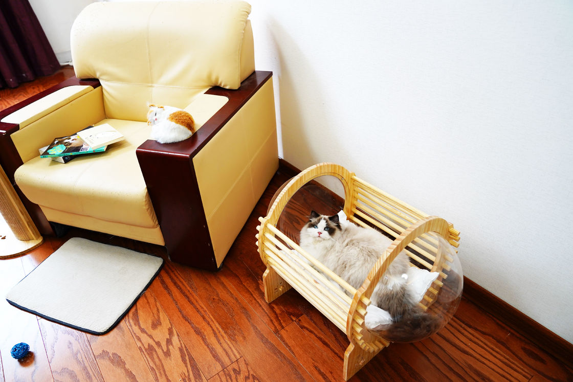Capsule Houten Cat Bed House With Window