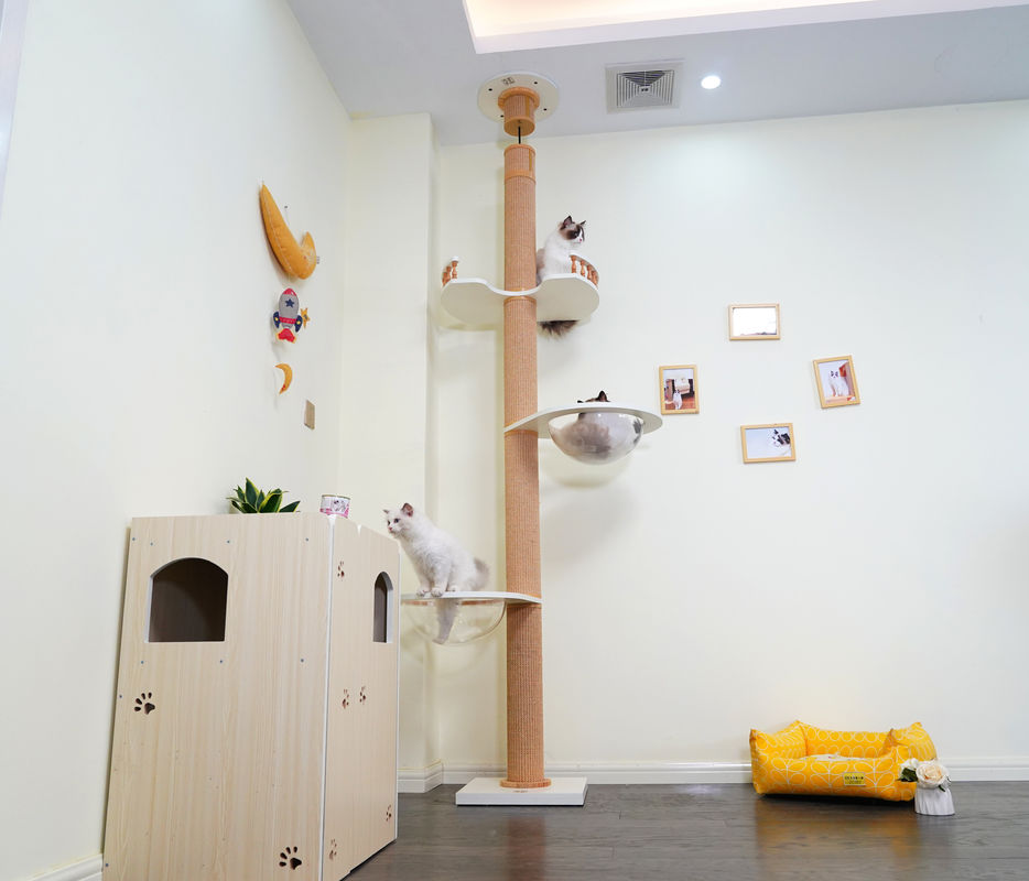 Groot Houten Cat Climbing Tree Floor To-Plafond het Spelen Huis 82*40*87cm