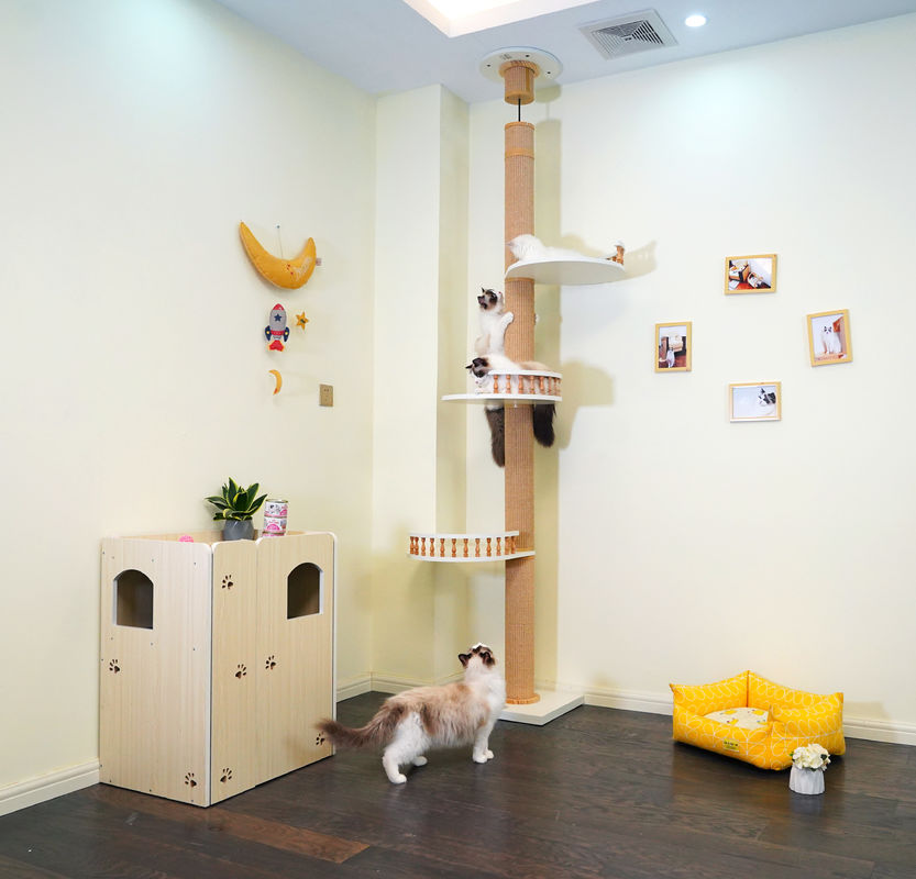 Groot Houten Cat Climbing Tree Floor To-Plafond het Spelen Huis 82*40*87cm
