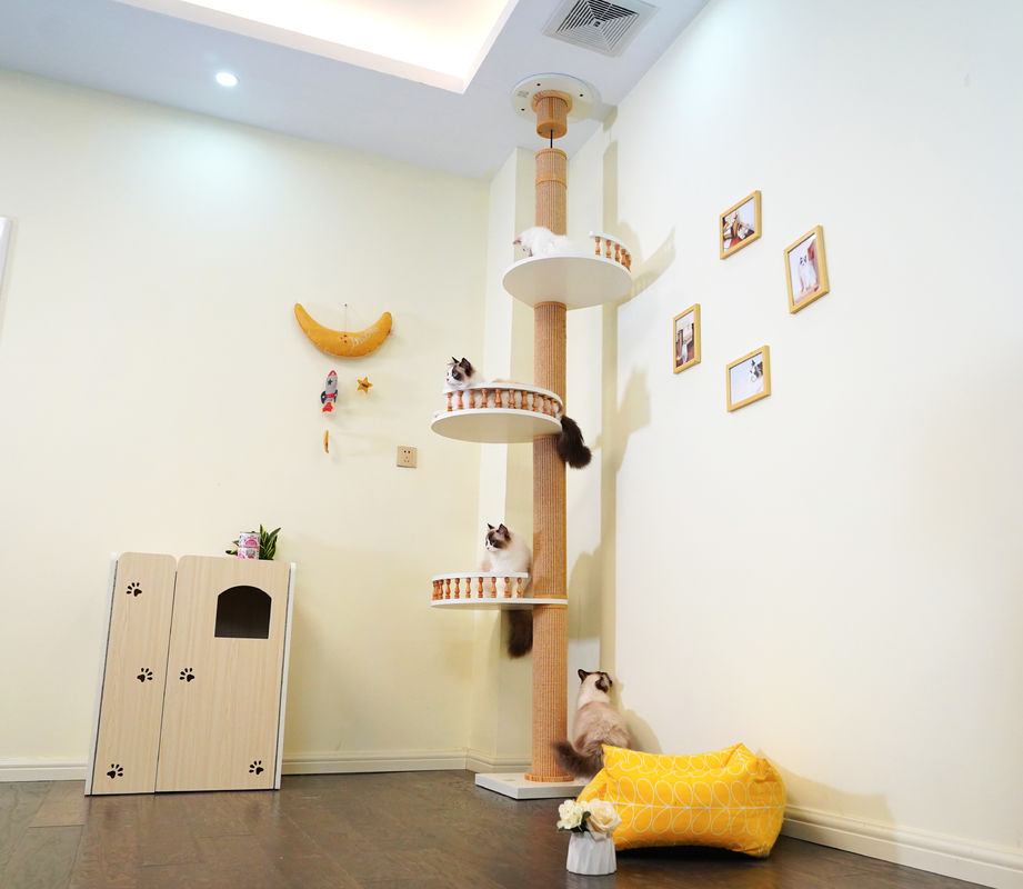 Groot Houten Cat Climbing Tree Floor To-Plafond het Spelen Huis 82*40*87cm