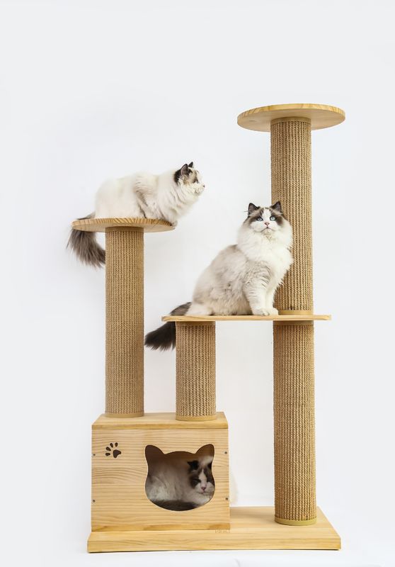 OEM &amp; ODM van het de Tredenhuisdier van Luxe Houten Cat Climbing Tree Furniture Safety de Stijgingsbed