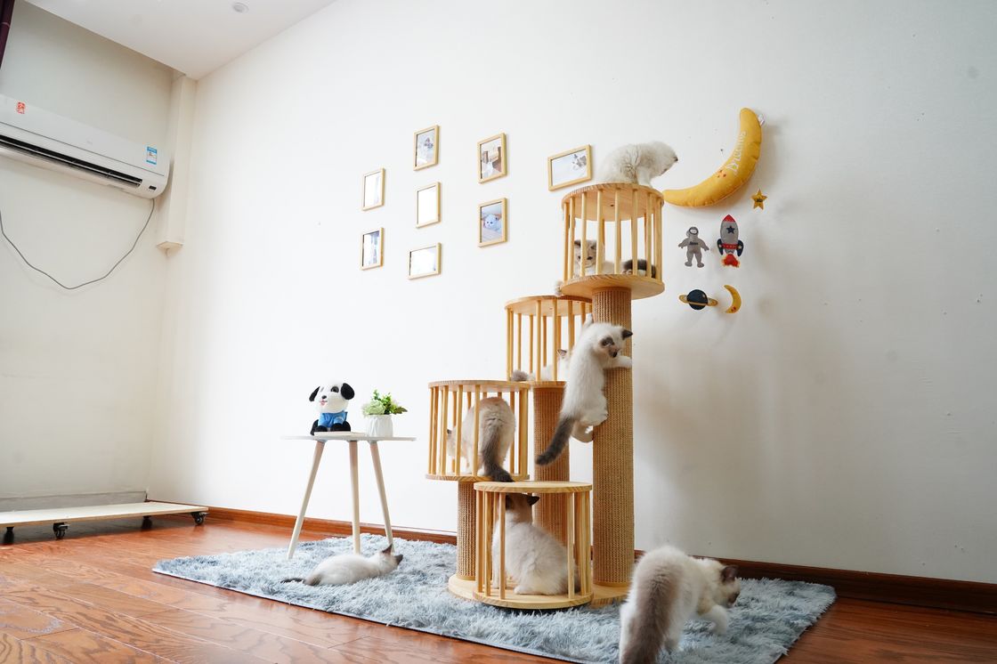 Duurzaam Huis Kitten Cat Climbing Tree Tower Condo met het Krassen van Posten