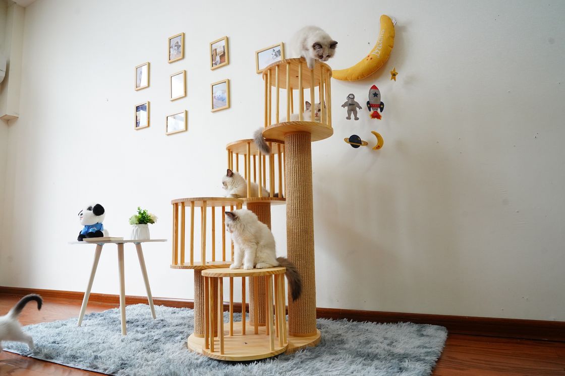 Duurzaam Huis Kitten Cat Climbing Tree Tower Condo met het Krassen van Posten