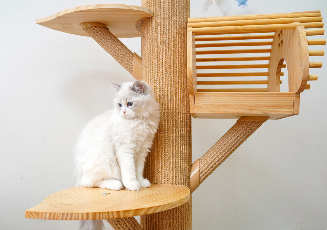 123cm Grote Stevige Houten Cat Climbing Tree Cat Activity Toren met het Krassen van Posten