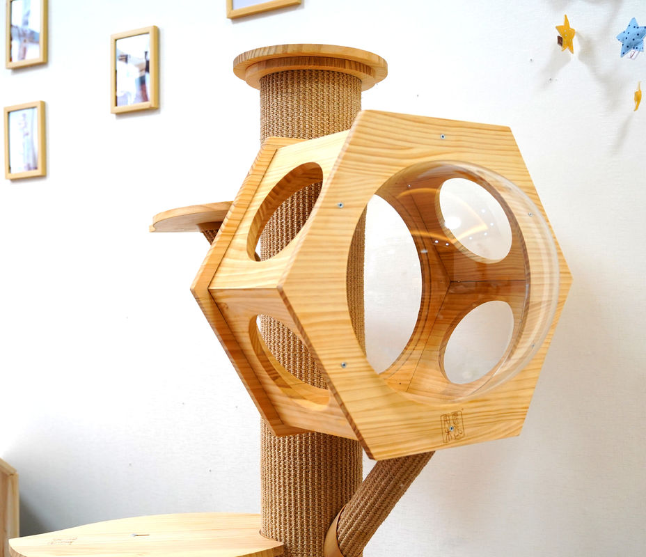 Van het het Bedhol van het luxe Hexagon Houten Huisdier Capsule van Cat Climbing Tower With Space