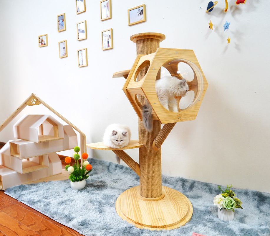 Van het het Bedhol van het luxe Hexagon Houten Huisdier Capsule van Cat Climbing Tower With Space