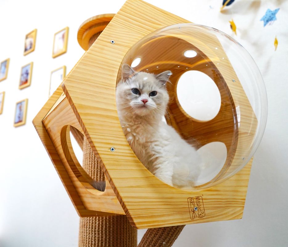 Van het het Bedhol van het luxe Hexagon Houten Huisdier Capsule van Cat Climbing Tower With Space