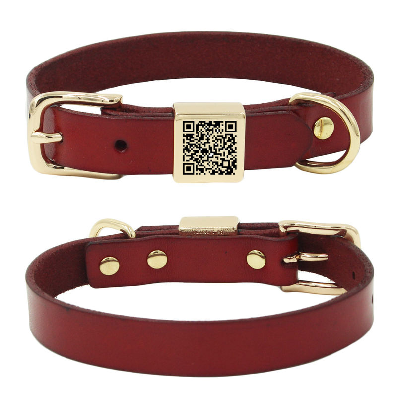 De gegraveerde van de de Leibanduitrusting van de Legerings Vierkante Kraag Halsband van de de Zweepkraag Vastgestelde