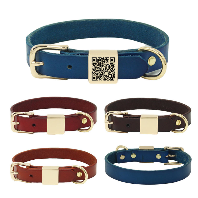 De gegraveerde van de de Leibanduitrusting van de Legerings Vierkante Kraag Halsband van de de Zweepkraag Vastgestelde