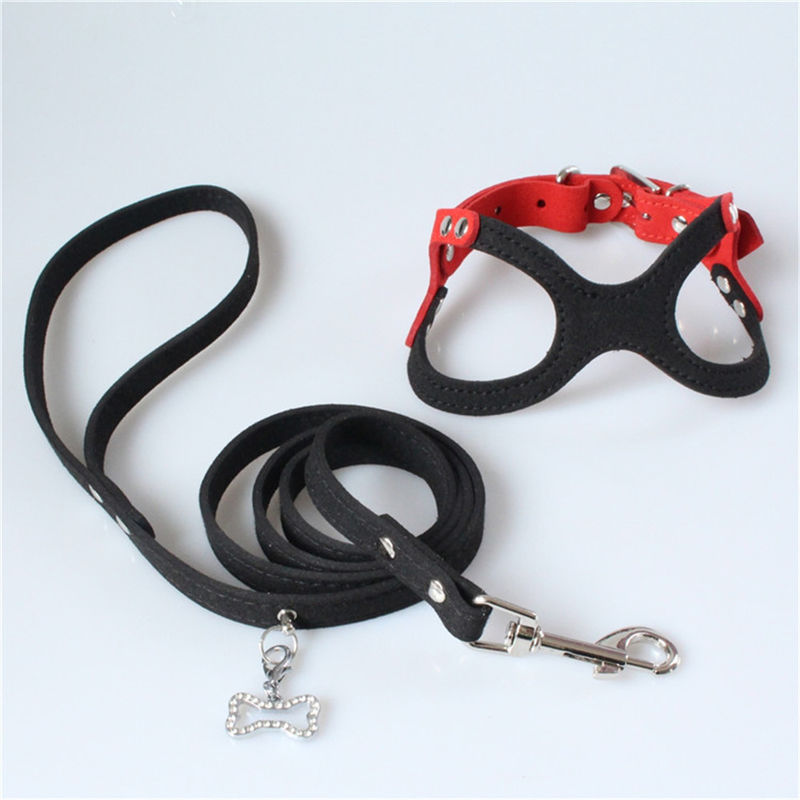 Vastgestelde de Hondborst van Hallupets Zachte Mesh Padded Collar Leash Harness en Achtertractie