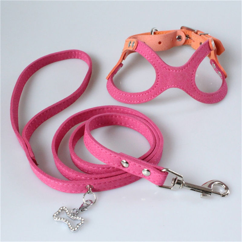 Vastgestelde de Hondborst van Hallupets Zachte Mesh Padded Collar Leash Harness en Achtertractie