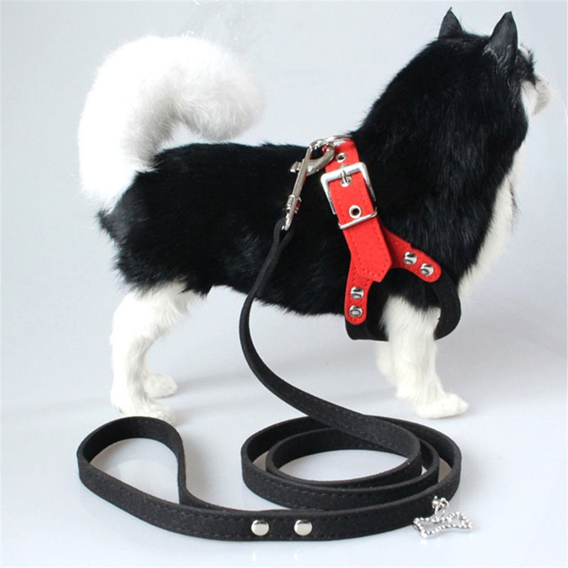 Vastgestelde de Hondborst van Hallupets Zachte Mesh Padded Collar Leash Harness en Achtertractie
