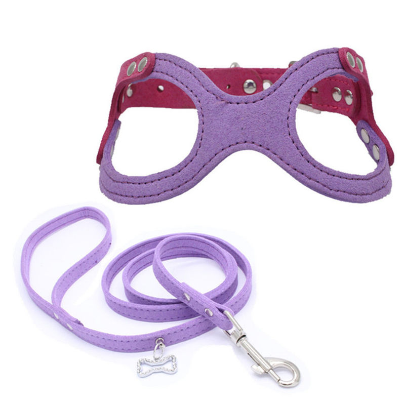 Vastgestelde de Hondborst van Hallupets Zachte Mesh Padded Collar Leash Harness en Achtertractie