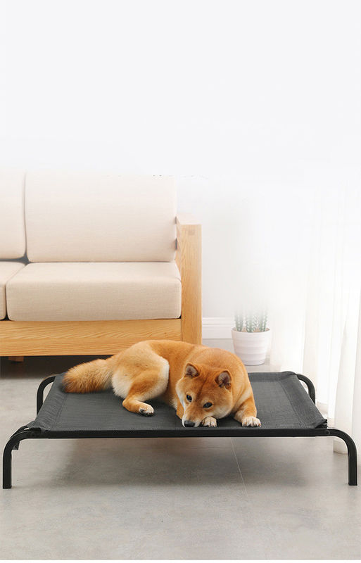 De grote Buis die van het Groottestaal Comfortabel Opgeheven de hondbed van het Huisdierenbed Wieg met Dik gemaakte Pluchekussens vouwen