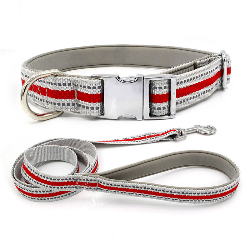 Comfortabel het Puppylood van Drawstring van de Zinklegering en de Hondleiband van het Kraag Vastgestelde Weerspiegelende Lint