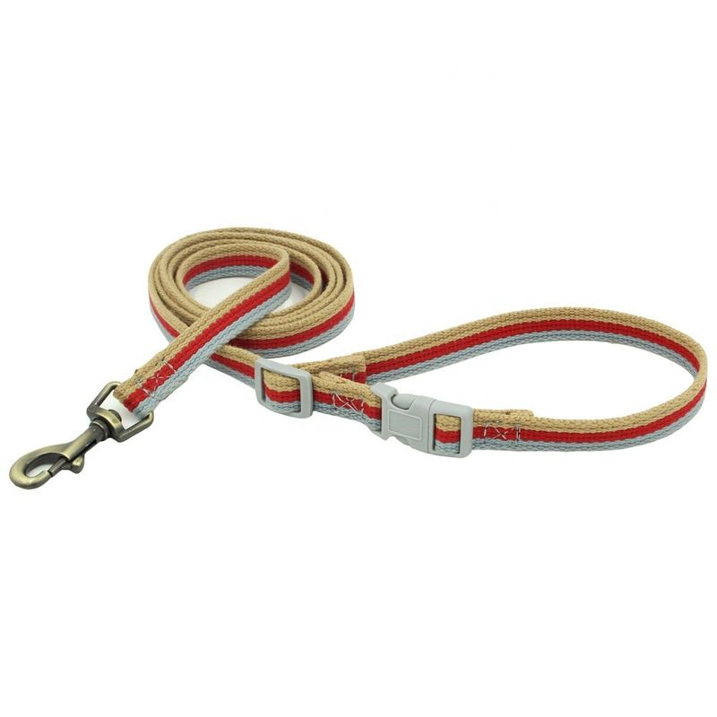 Gegraveerde van de de Gespkabel van de Bronslegering de Hondleiband 3 de Kraag en de Leibandreeks van de Kleurensingelband