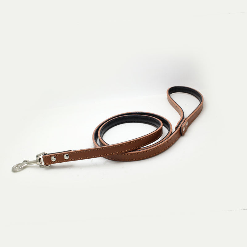 Van de het Huisdierenhond van het douanepuppy Populaire van de het Leerkraag de Hondleiband