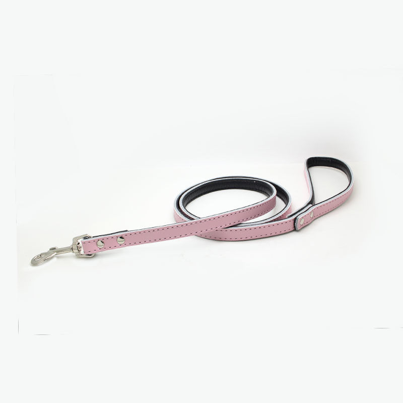 Van de het Huisdierenhond van het douanepuppy Populaire van de het Leerkraag de Hondleiband