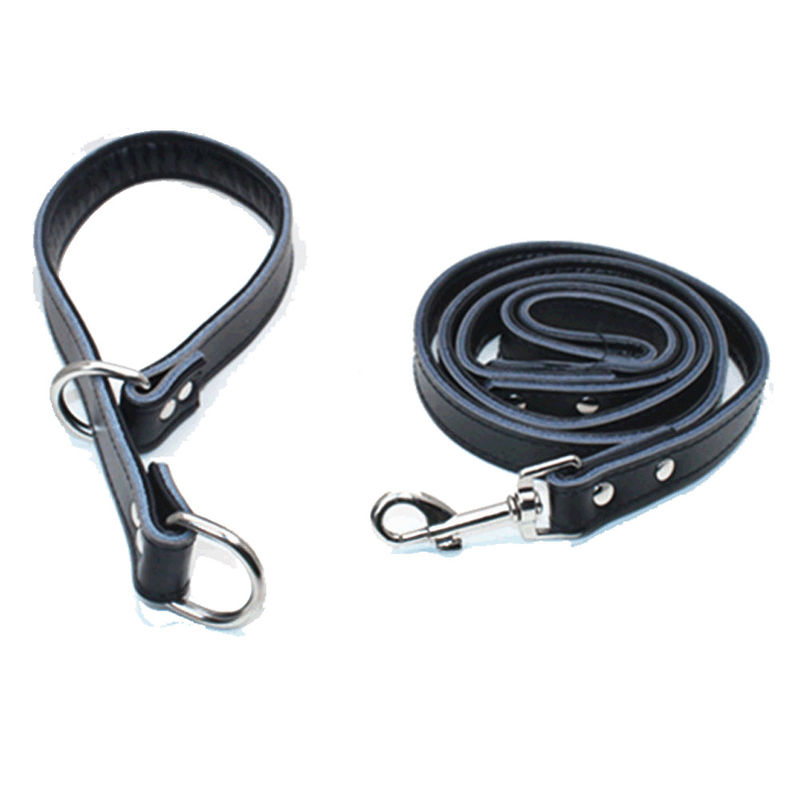 De Populaire Halsband van het douanepuppy en Keten van de de Hondvernauwing van het Leiband de Vastgestelde Regelbare Echte Leer P