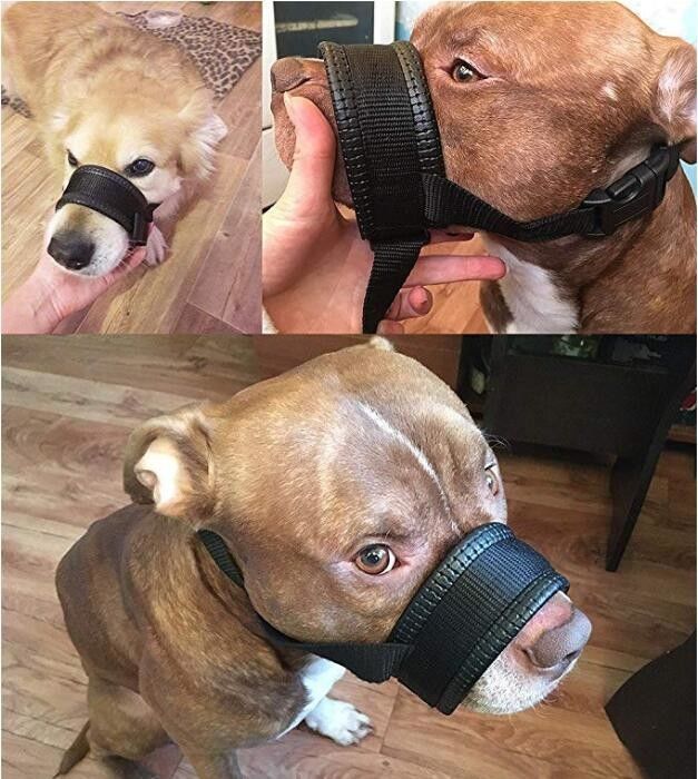 De nylon van de de Kraagleiband van de Hondsnuit van de de Uitrustings Vastgestelde Zachte Opgevulde Hond van de de Monddekking Antibeet